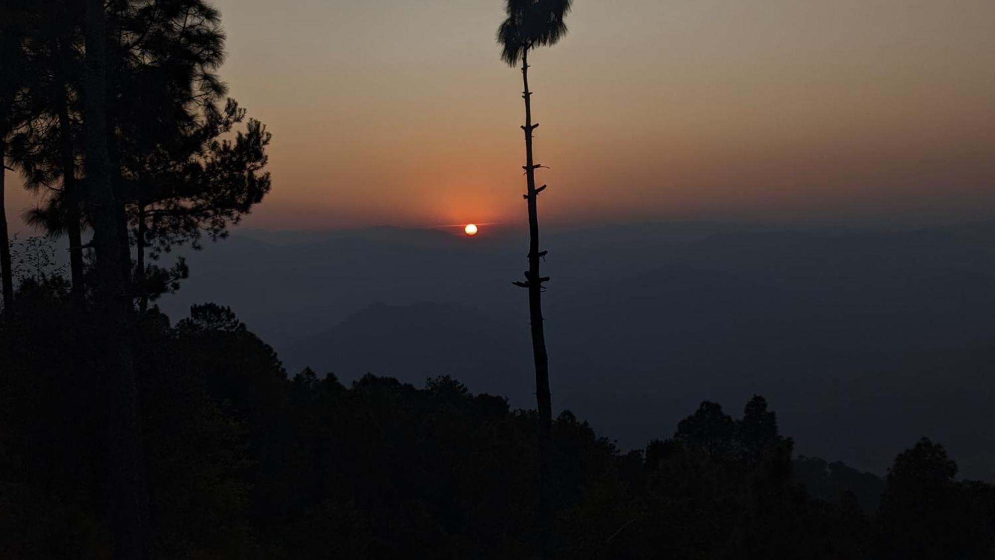 The Buransh Inn Almora Eksteriør billede